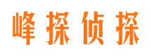 天等侦探公司